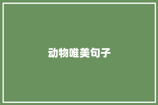 动物唯美句子