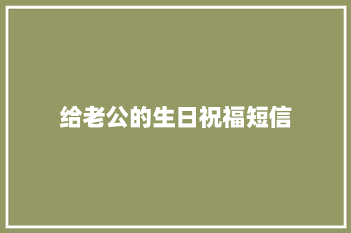 给老公的生日祝福短信