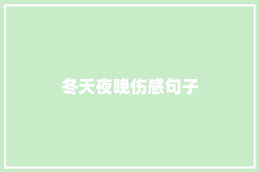 冬天夜晚伤感句子