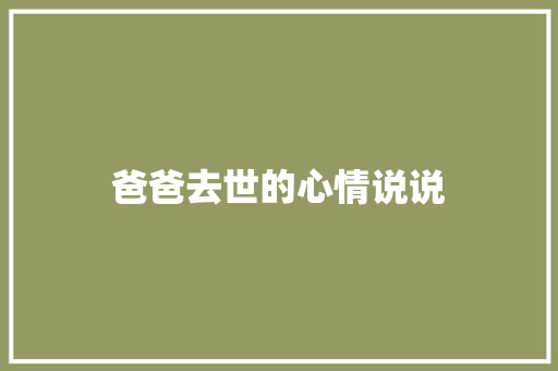 爸爸去世的心情说说