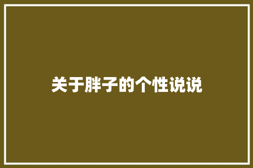 关于胖子的个性说说