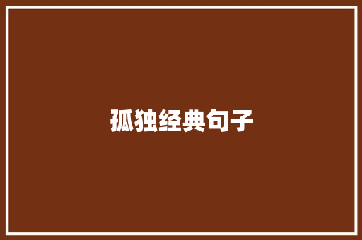 孤独经典句子