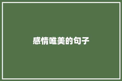 感情唯美的句子