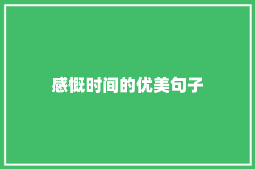 感慨时间的优美句子