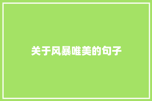 关于风暴唯美的句子