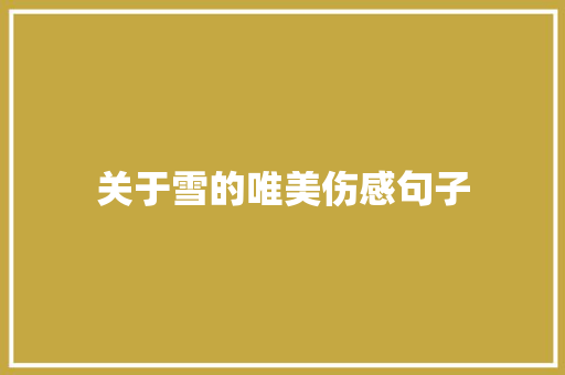 关于雪的唯美伤感句子
