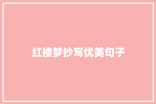 红楼梦抄写优美句子