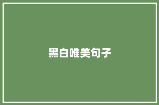 黑白唯美句子