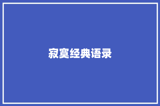 寂寞经典语录
