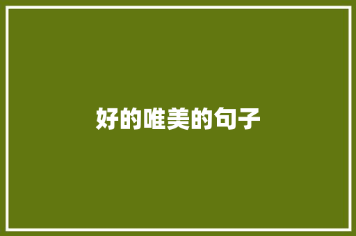 好的唯美的句子