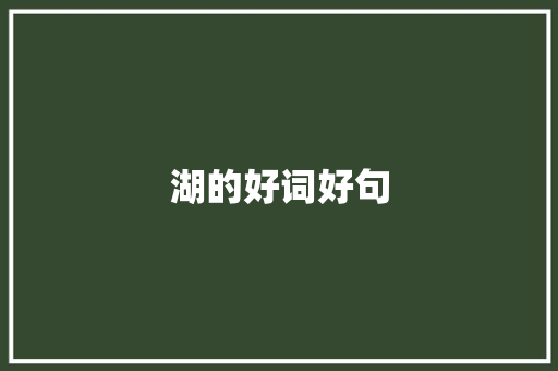 湖的好词好句
