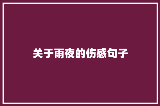 关于雨夜的伤感句子