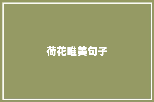 荷花唯美句子