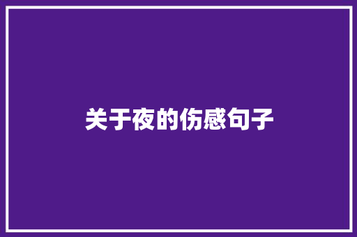 关于夜的伤感句子