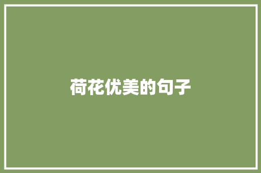 荷花优美的句子