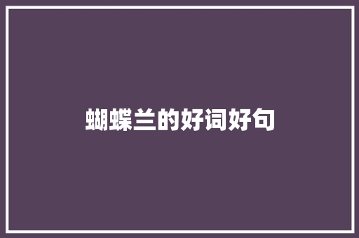 蝴蝶兰的好词好句