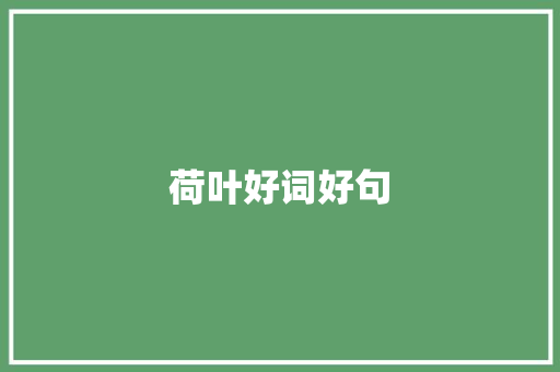 荷叶好词好句
