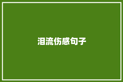 泪流伤感句子