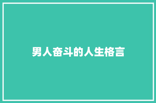 男人奋斗的人生格言