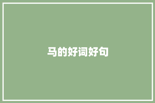 马的好词好句