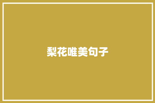 梨花唯美句子