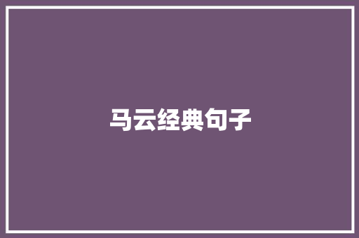 马云经典句子