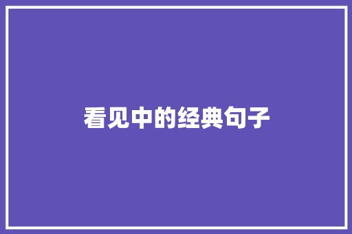 看见中的经典句子