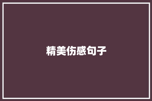精美伤感句子