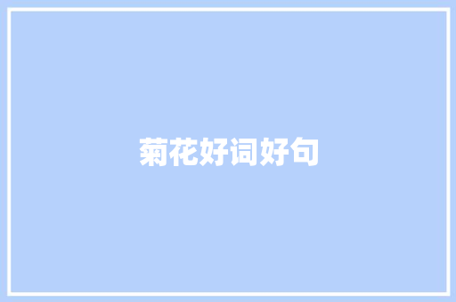 菊花好词好句