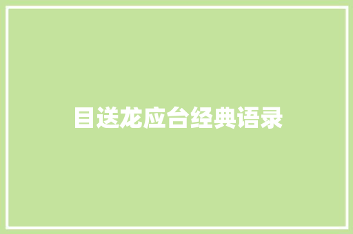 目送龙应台经典语录