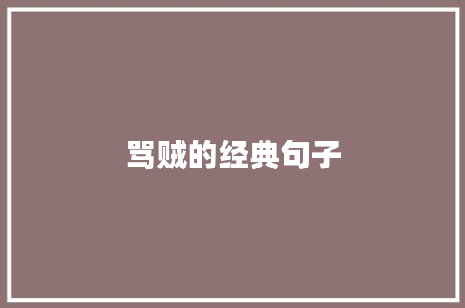 骂贼的经典句子