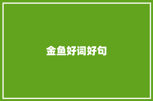 金鱼好词好句