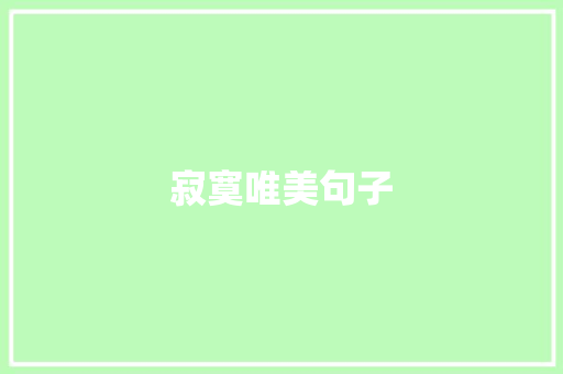 寂寞唯美句子