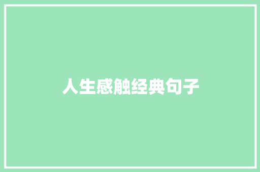 人生感触经典句子