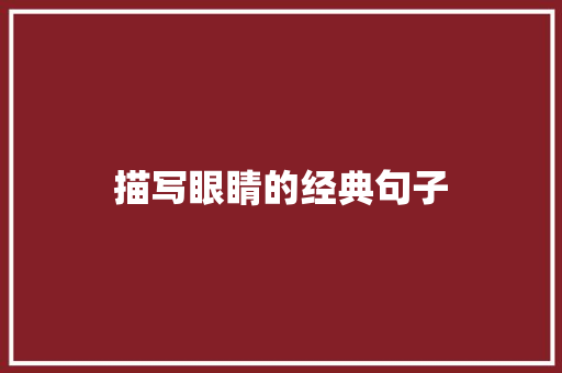 描写眼睛的经典句子