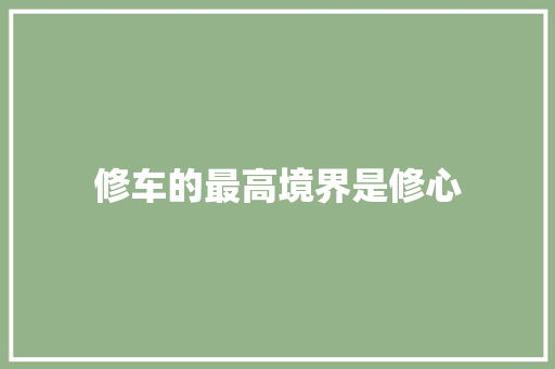修车的最高境界是修心 汽车知识