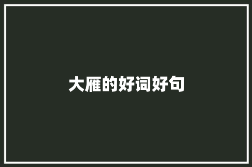 大雁的好词好句