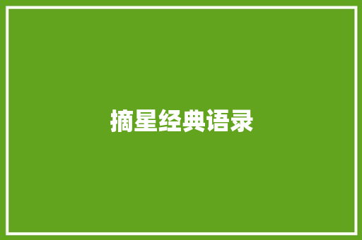 摘星经典语录