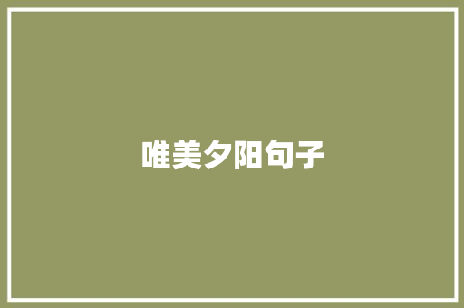 唯美夕阳句子