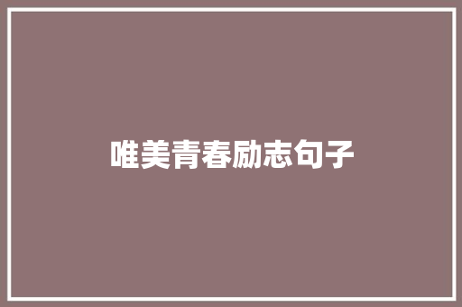 唯美青春励志句子