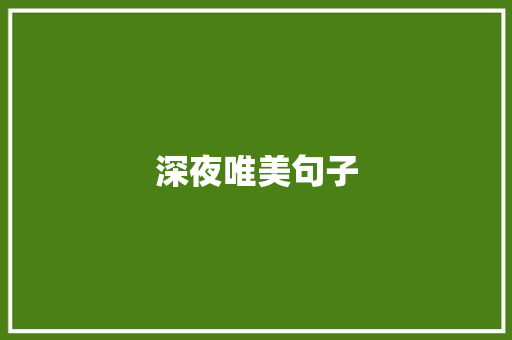 深夜唯美句子