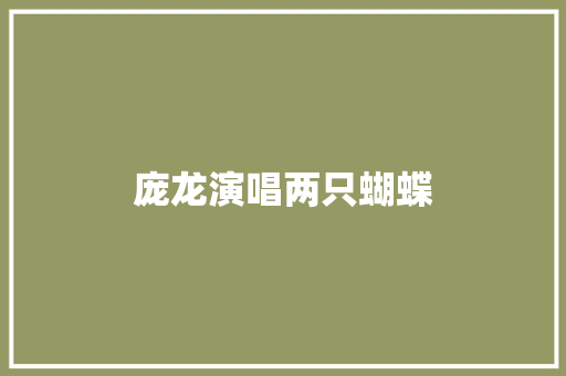 庞龙演唱两只蝴蝶