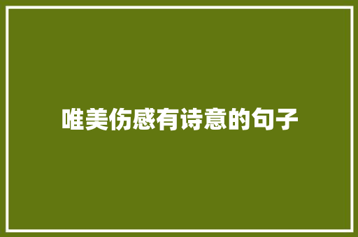 唯美伤感有诗意的句子