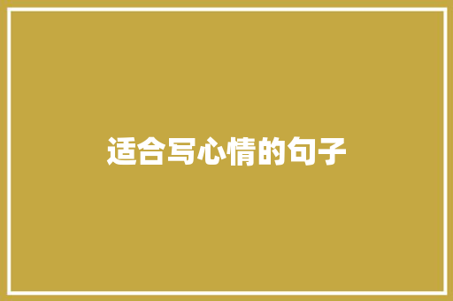 适合写心情的句子