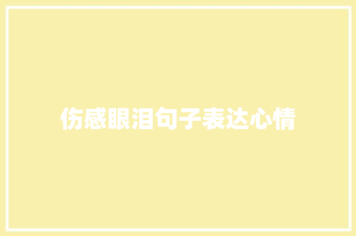 伤感眼泪句子表达心情