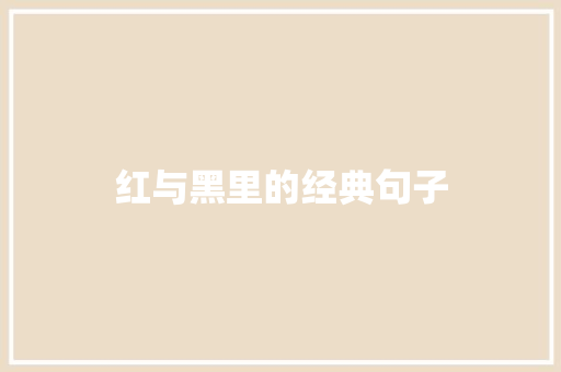 红与黑里的经典句子