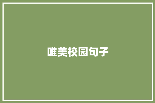 唯美校园句子