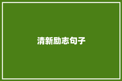 清新励志句子