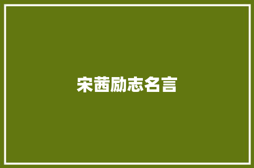 宋茜励志名言