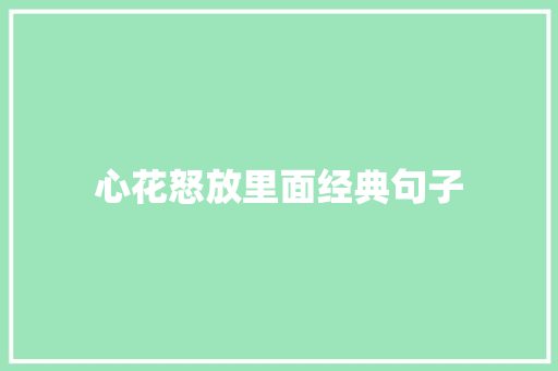 心花怒放里面经典句子